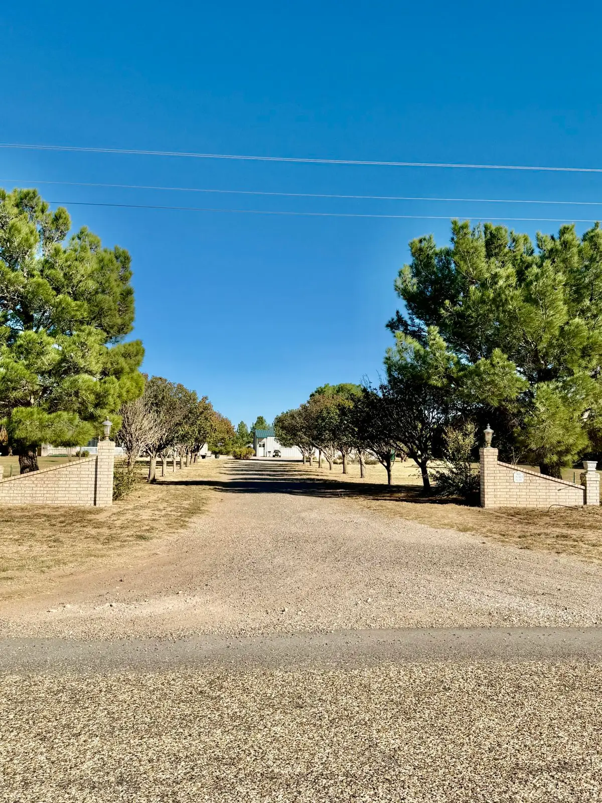 18003 County Rd 1640, Wolfforth, TX 79382 - #1
