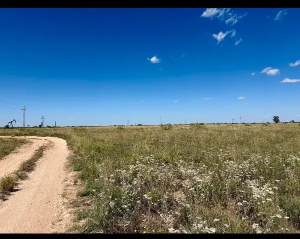 CR 121 / CR 290 County Road 121, Brownfield, TX 79316