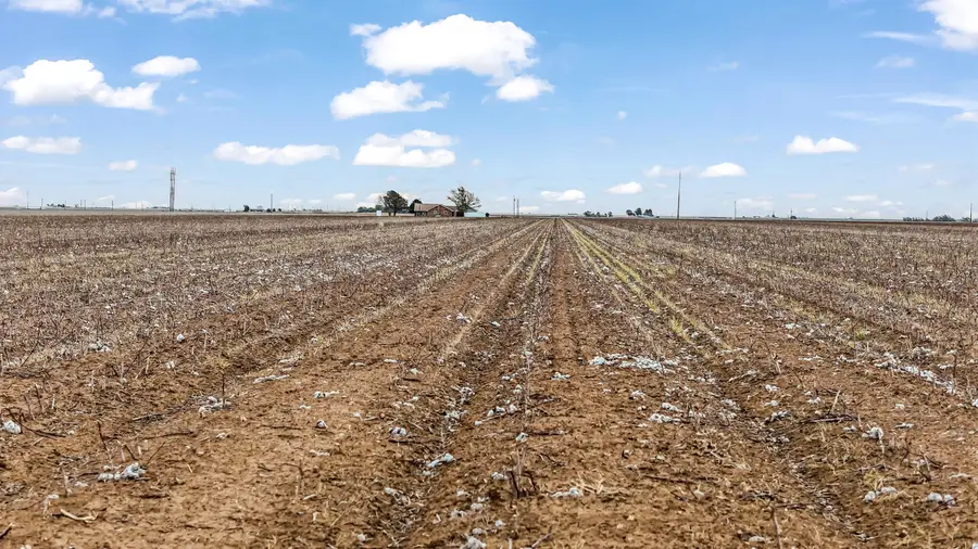 1283 County Road 12, Tulia, TX 79088 - #3