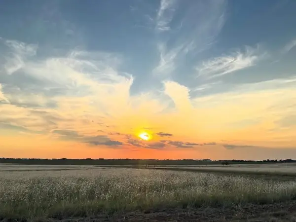4403 County Road 7900, Lubbock, TX 79423