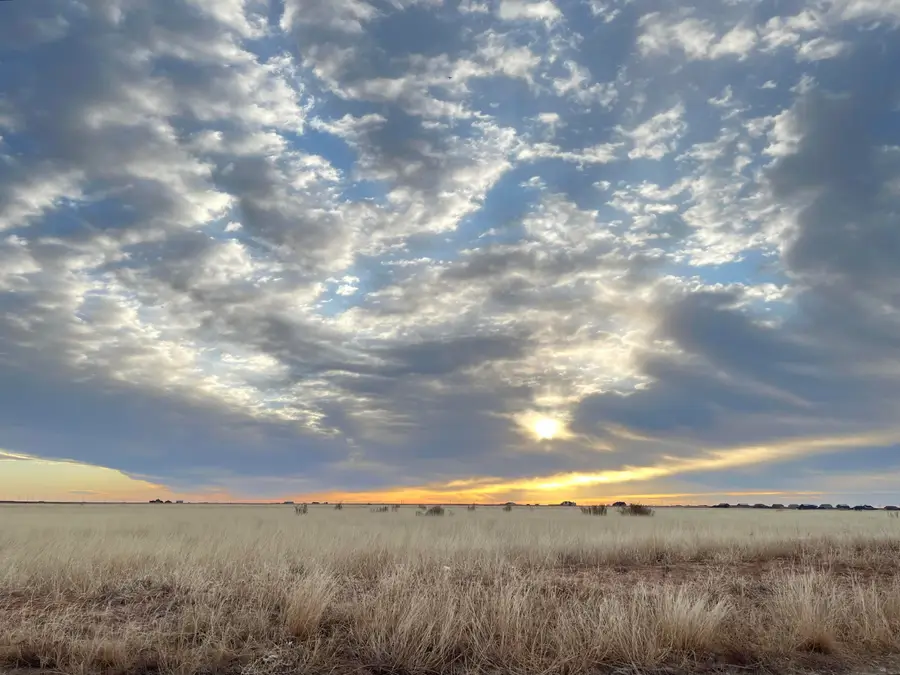 4403 County Road 7900, Lubbock, TX 79423 - #2
