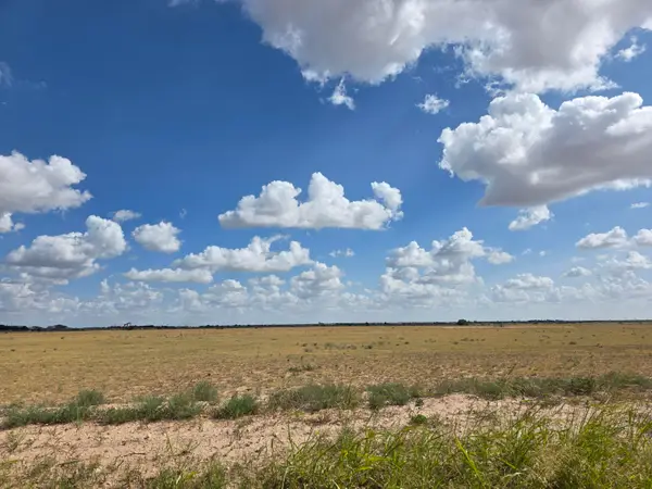 Cr 6100, Lubbock, TX 79415