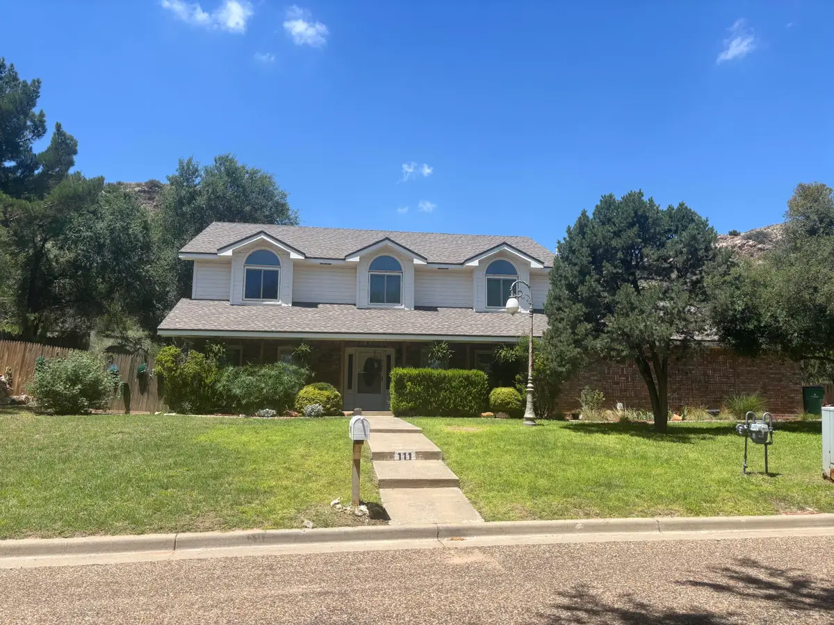 111 S Lake Shore Drive, Ransom Canyon, TX 79366 - #1