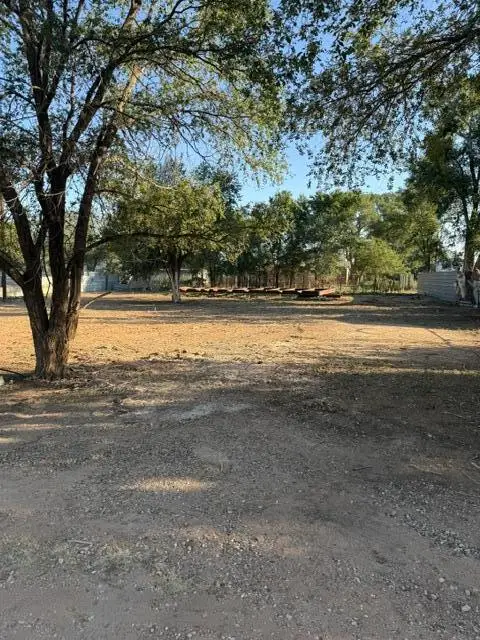 8206 C R 5860, Shallowater, TX 79363
