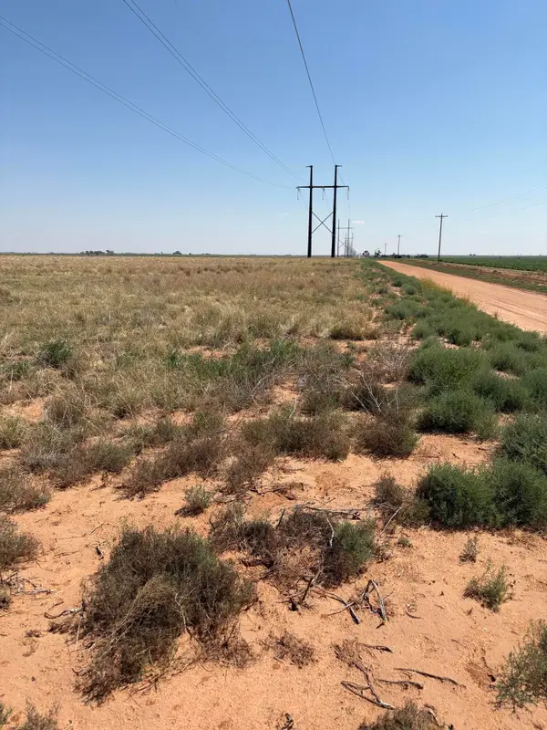 Elk, Levelland, TX 79336