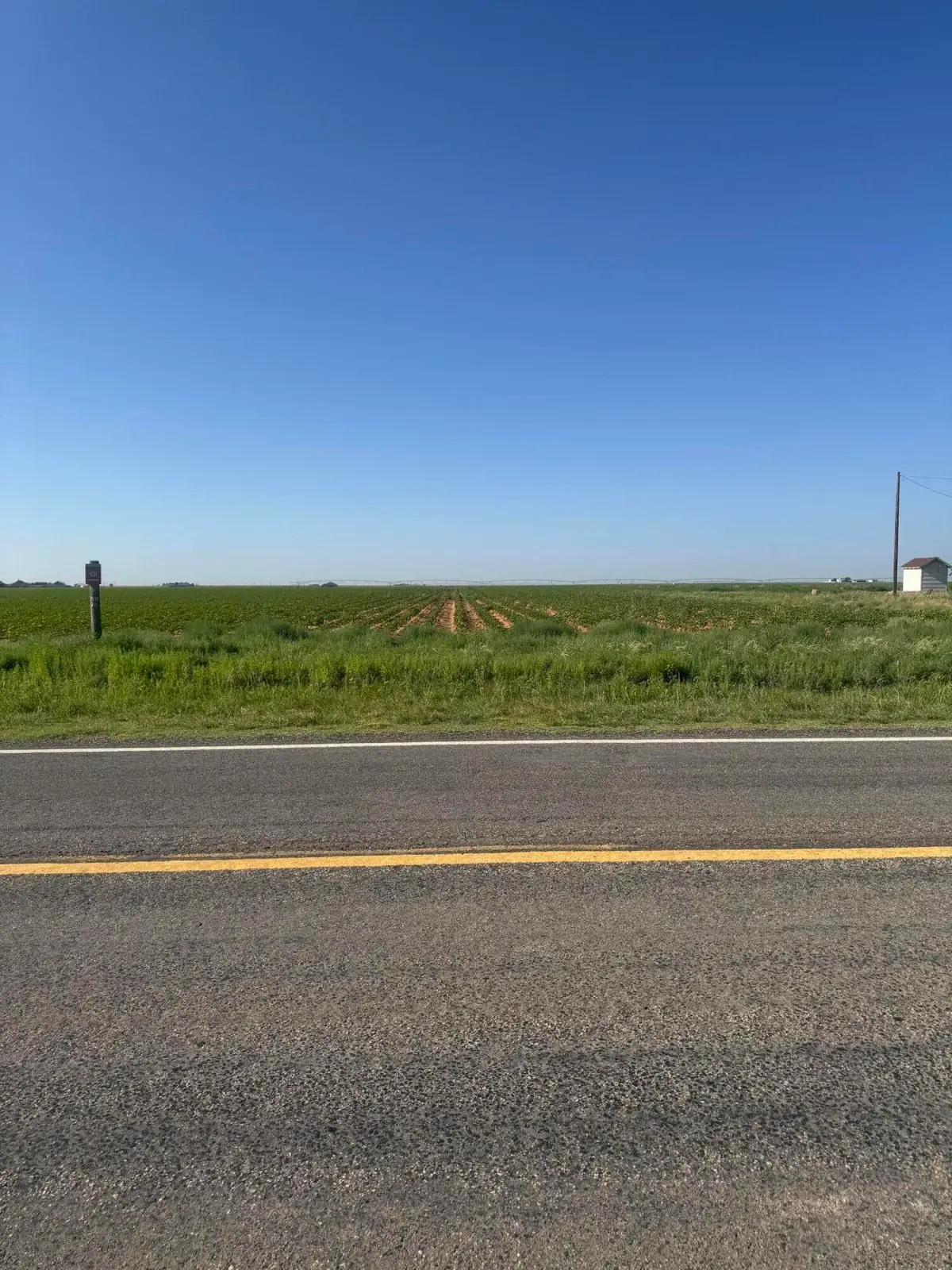 1243 Farm To Market Road 211, New Home, TX 79383 - #1