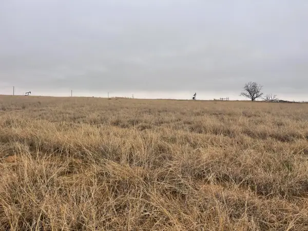 8446 Fm 597, Shallowater, TX 79363