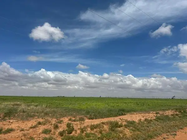 Cheyenne Road, Levelland, TX 79336