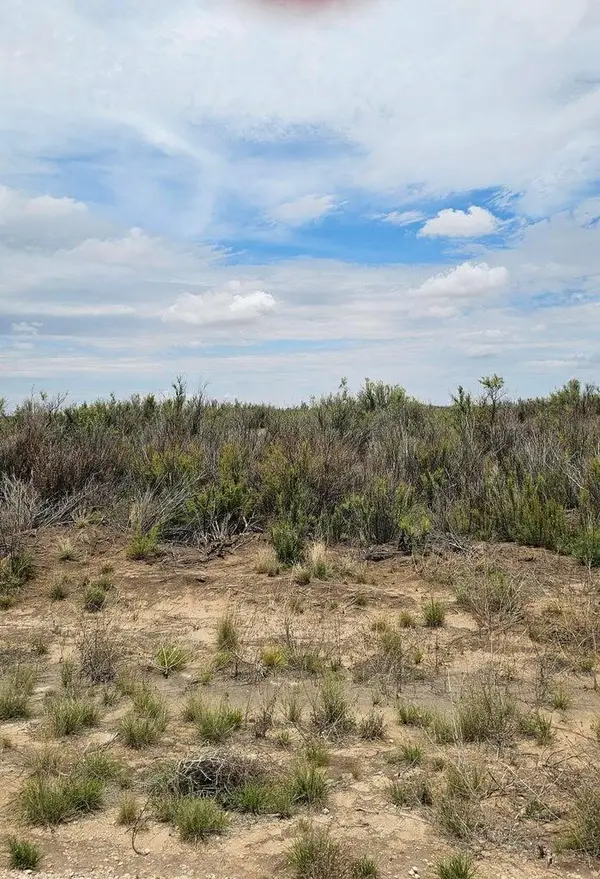 Lot 4 Douglas Farms Tanner, Brownfield, TX 79316