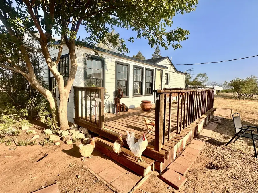 281 Co Rd 127, Afton, TX 79220 - #2