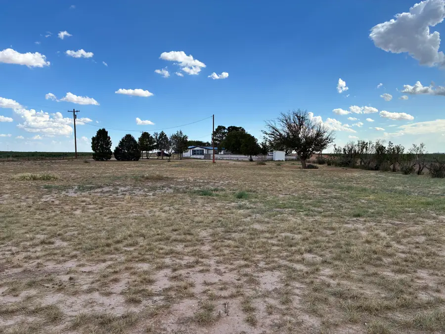 3951 Sunrise Lane, Levelland, TX 79336 - #3