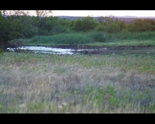 County Road, Turkey, TX 79261 - #2
