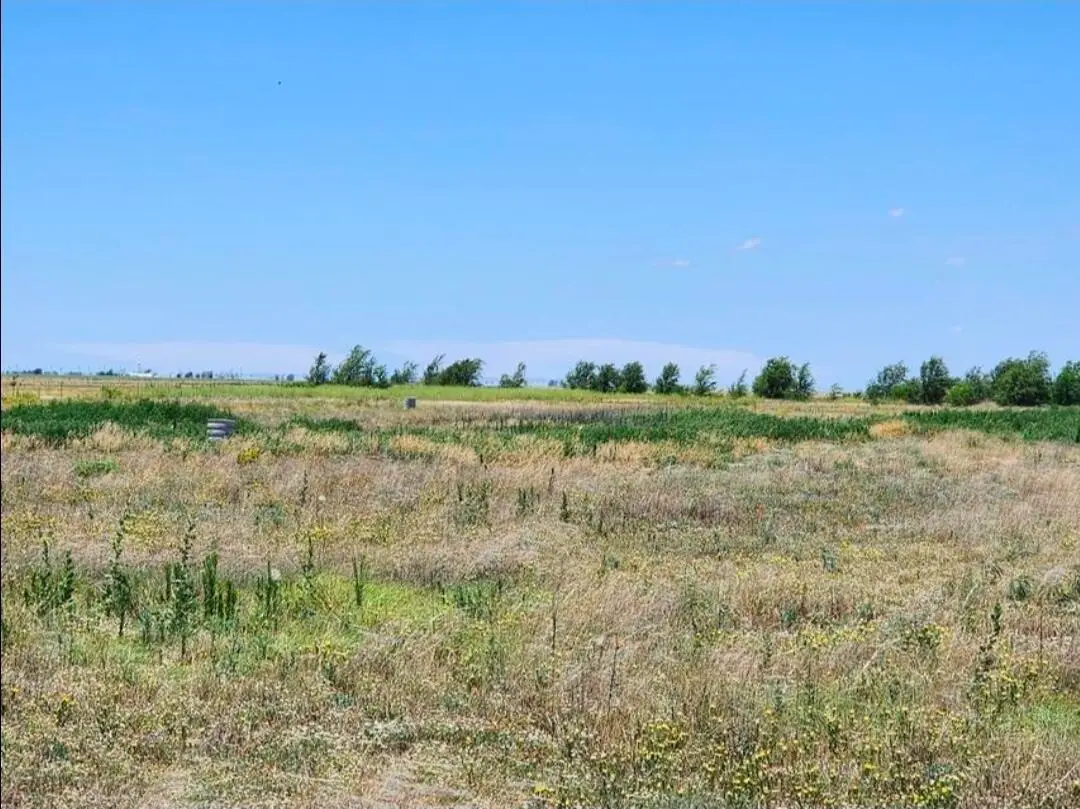 409 N F M 2378, Lubbock, TX 79407 - #1