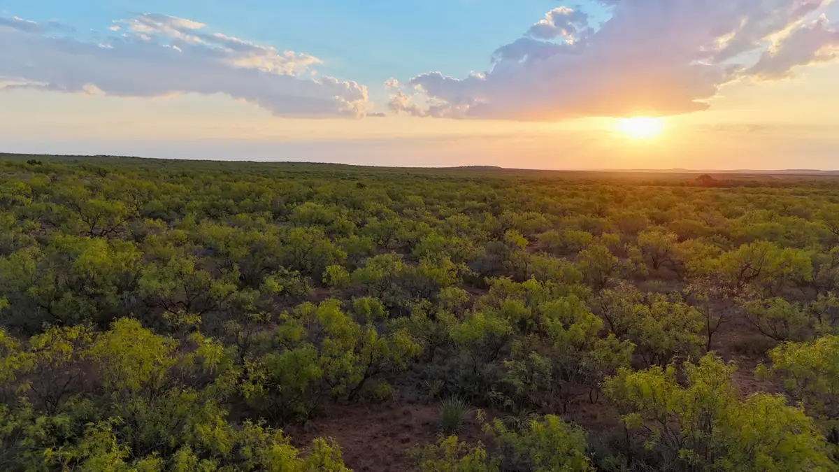 CR  370, Dickens, TX 79229 - #1