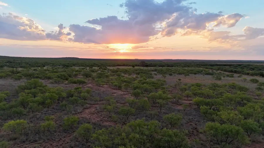 CR  370, Dickens, TX 79229 - #2