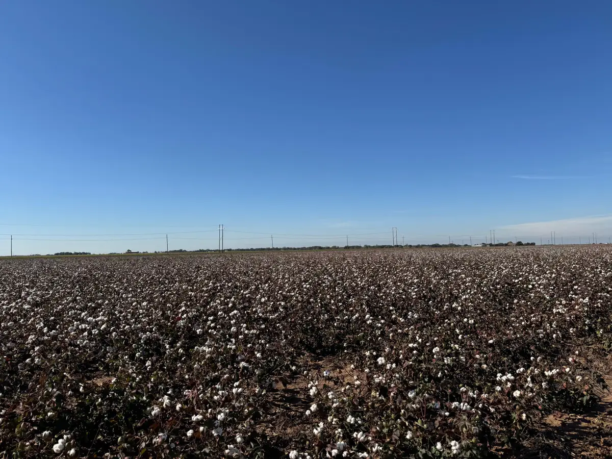 740 Sun Road, Plainview, TX 79072 - #1