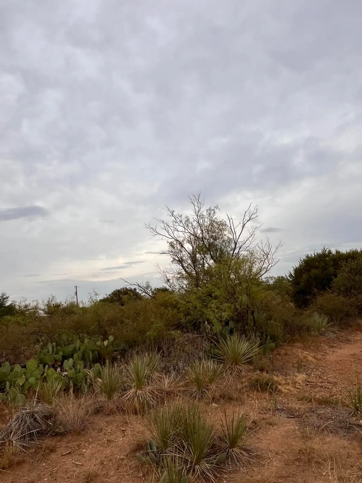 22 Lakesite Road, Spur, TX 79370 - #1