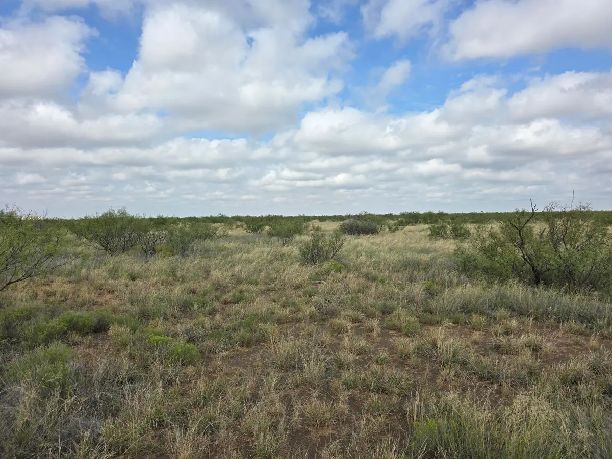 Nolley Lane, Andrews, TX 79714 - #1