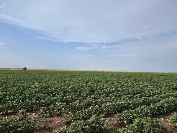 County Road 218, Seminole, TX 79360