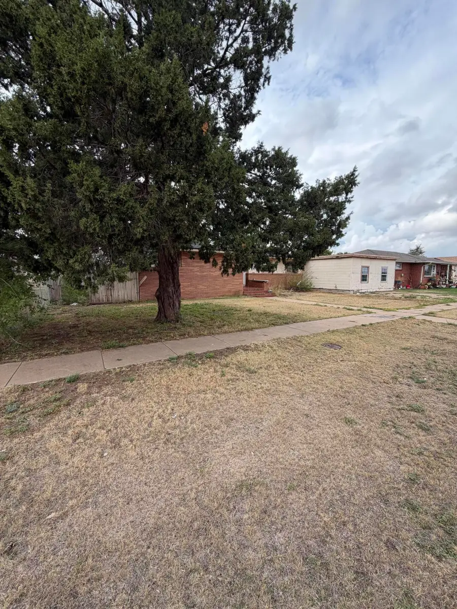 207 N Bowie Avenue, Tulia, TX 79088 - #3