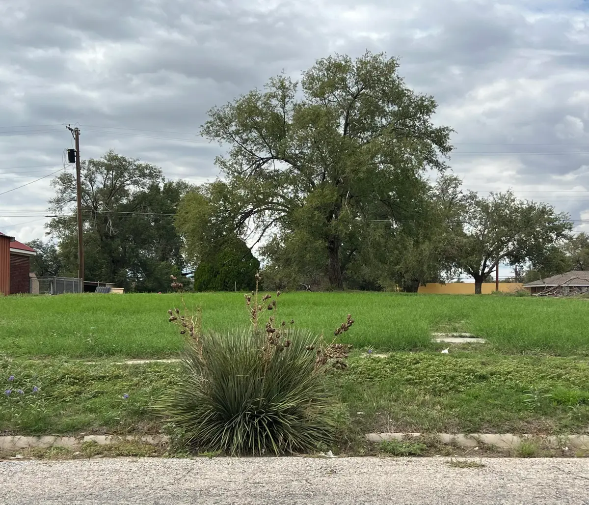 707 Lfd Drive, Littlefield, TX 79339 - #1