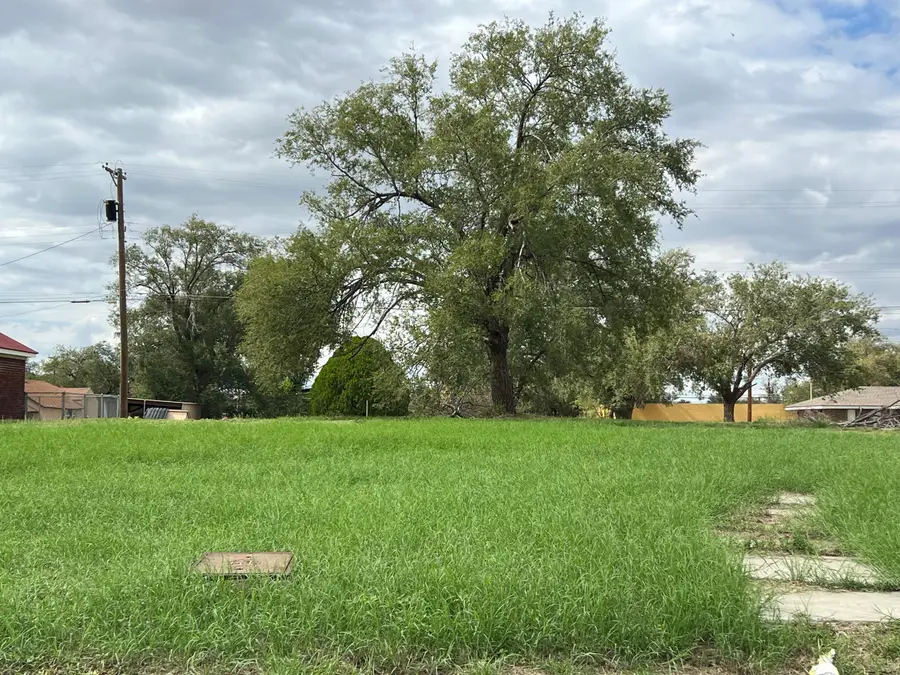 707 Lfd Drive, Littlefield, TX 79339 - #2