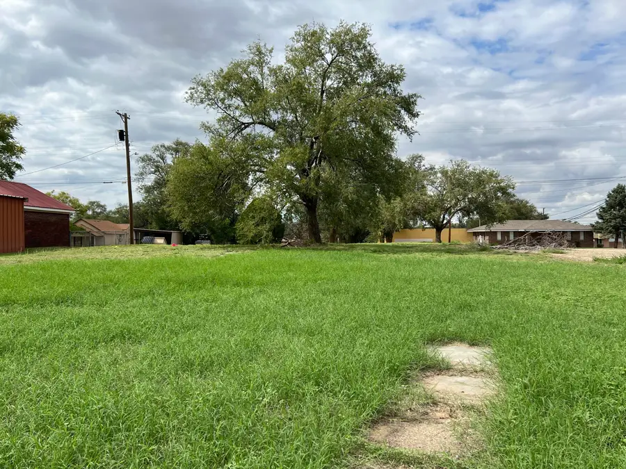 707 Lfd Drive, Littlefield, TX 79339 - #3