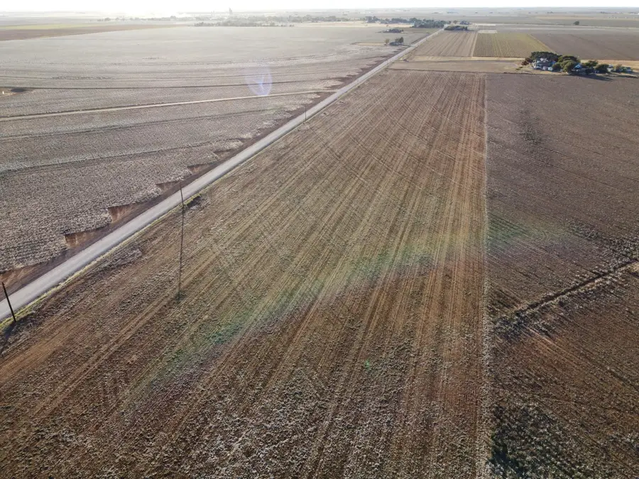 6705 Tiger Road, Ropesville, TX 79358 - #3