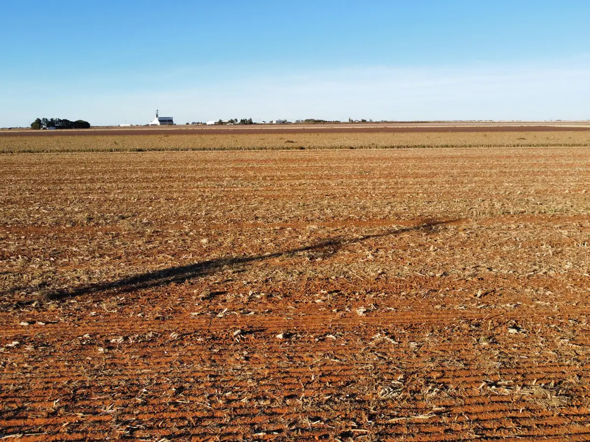 6657 Tiger Road, Ropesville, TX 79358 - #1