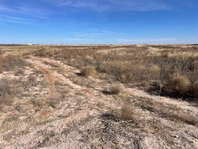 10 Lovebird Road, Smyer, TX 79367 - #2