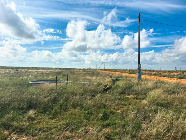 County Road 1133, Muleshoe, TX 79347