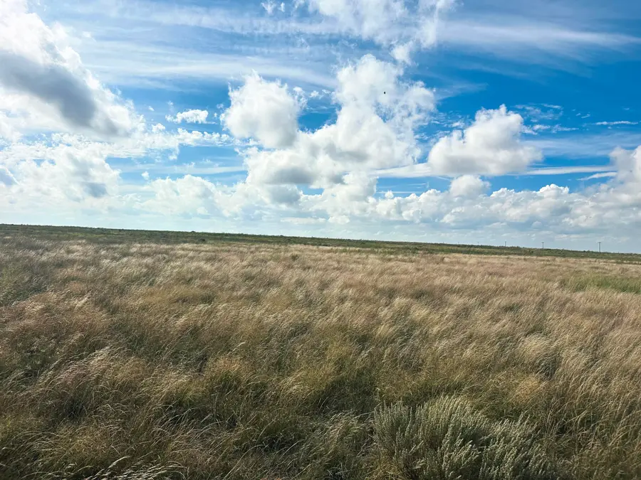 County Road 1133, Muleshoe, TX 79347 - #2