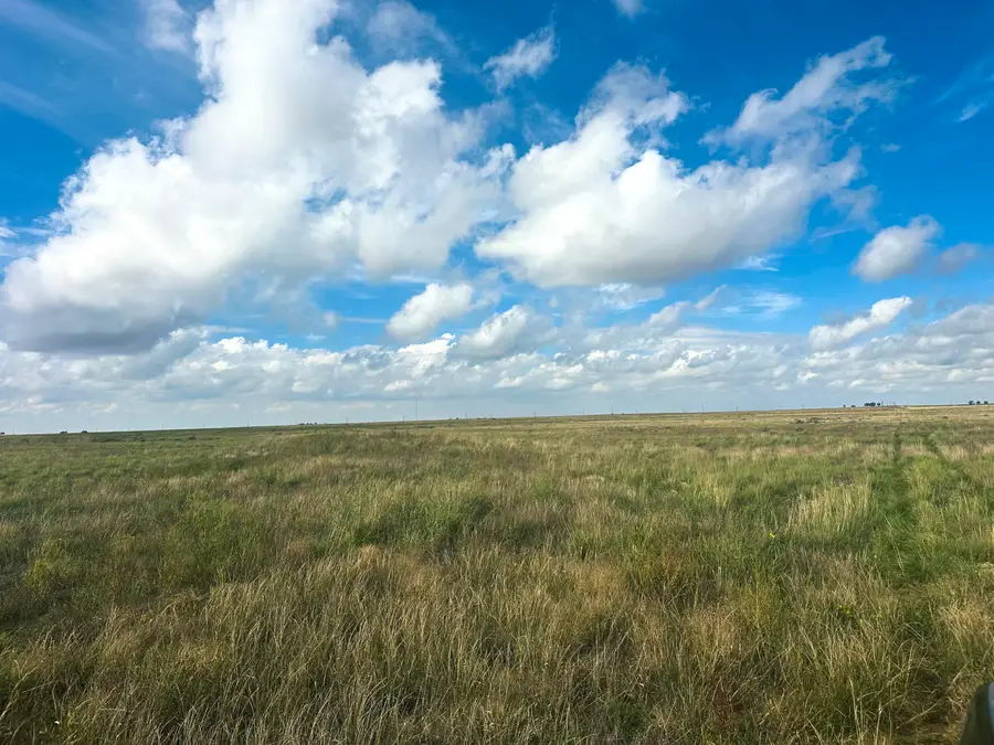 County Road 1133, Muleshoe, TX 79347 - #3
