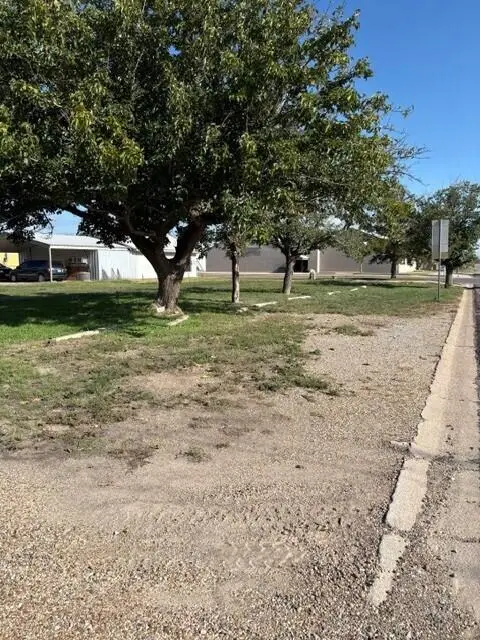 S 1st Street, Muleshoe, TX 79347 - #1