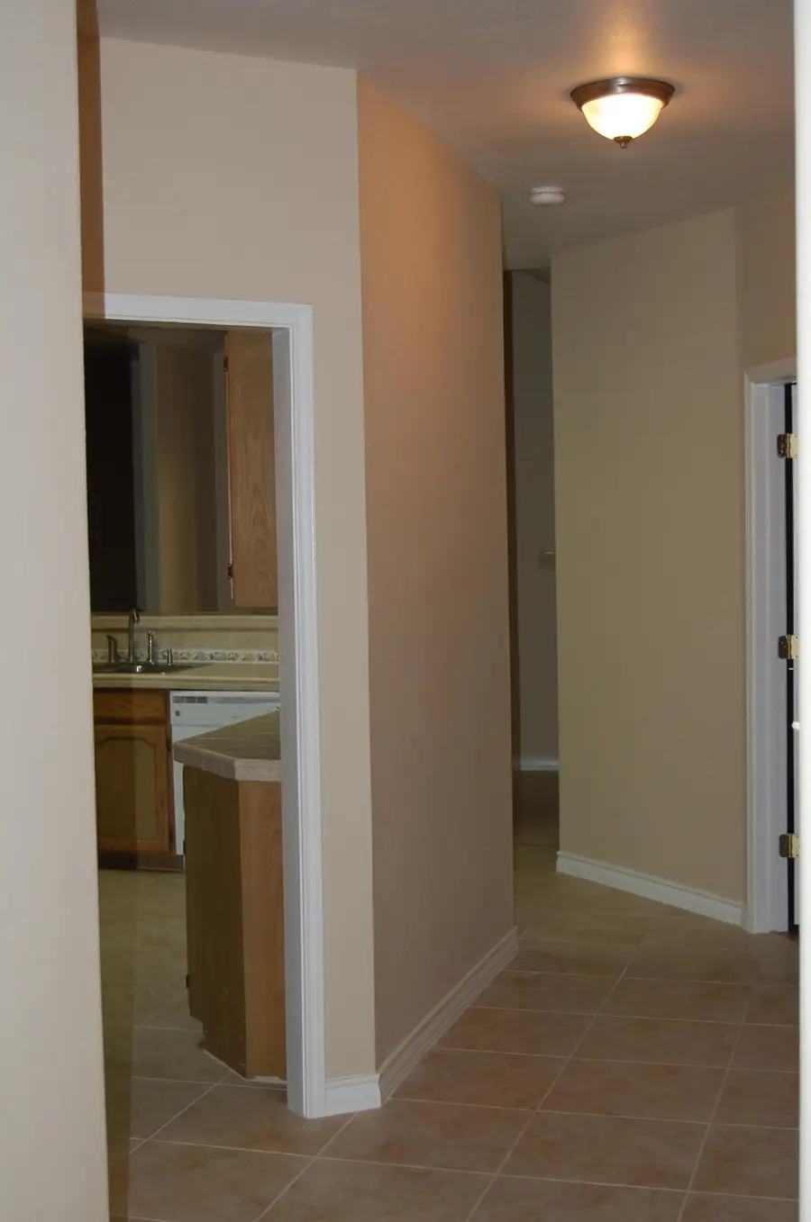 230 Newcastle Dr, Laredo, TX 78041-2707 - Image #3