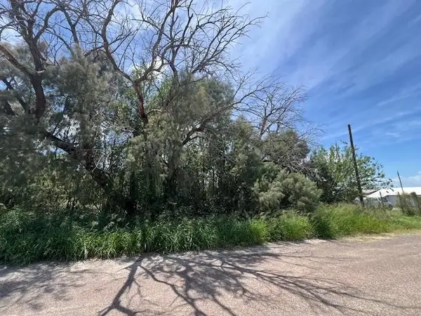 Lindner North of 3rd, MIRANDO, TX 78369