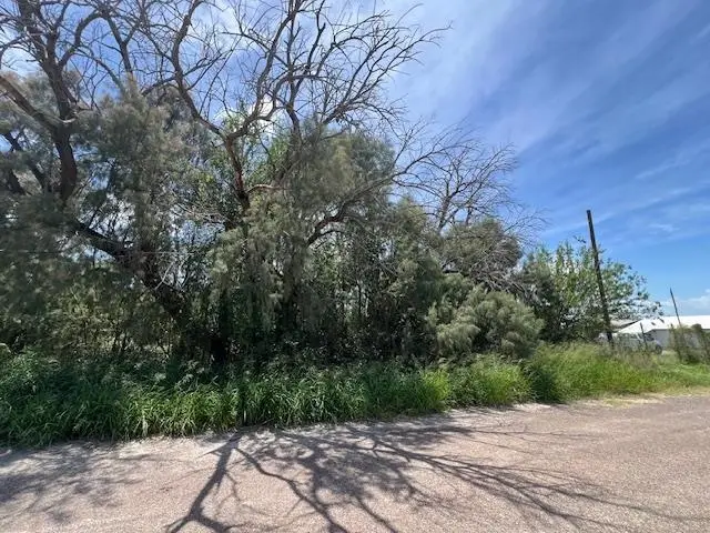 Lindner South of RR Tracks., Mirando City, TX 78369 - #1