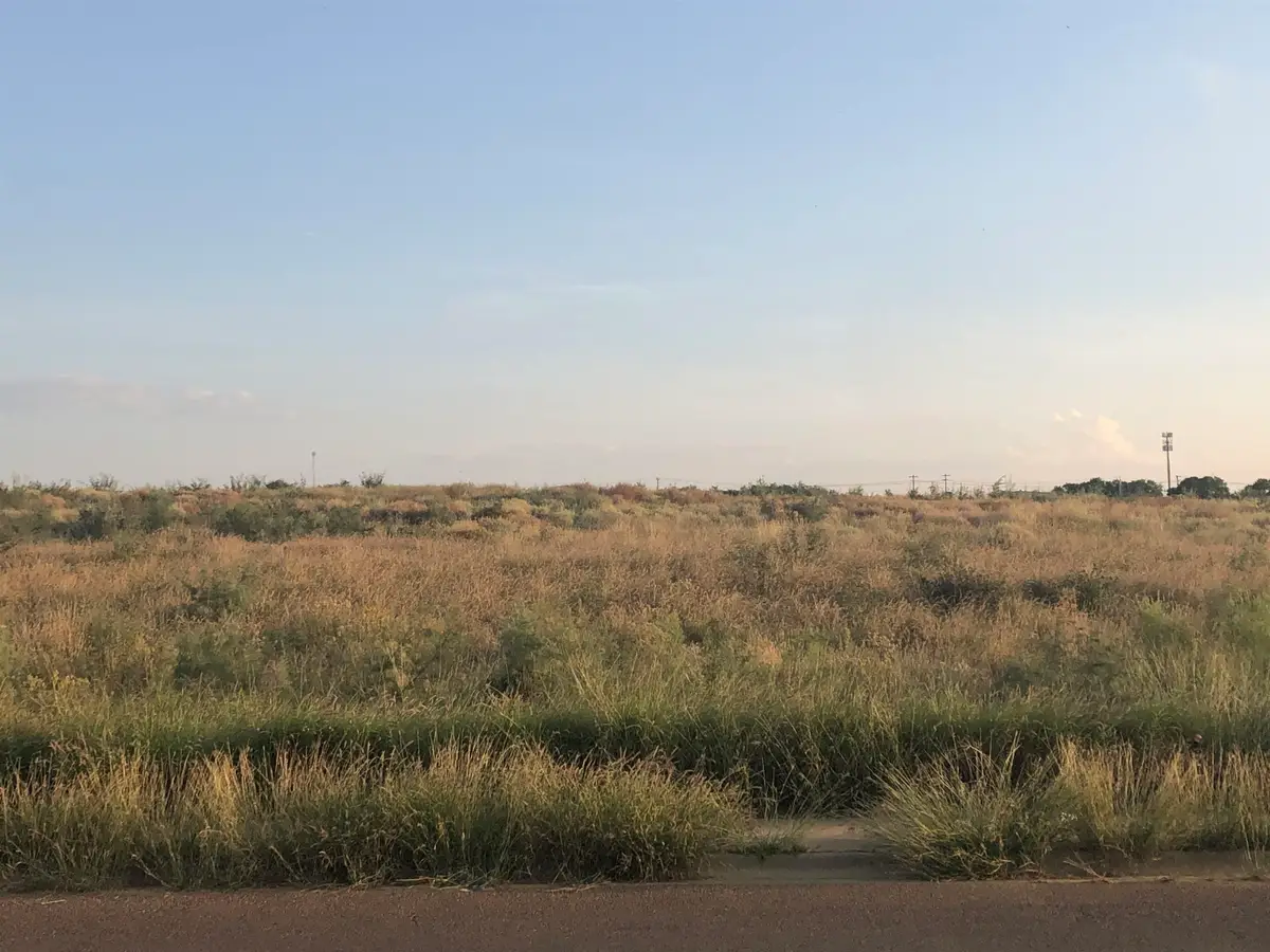 0000 Dorel Dr, Laredo, TX 78043 - #1