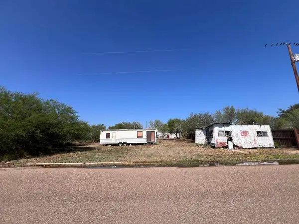 615 Railroad Dr, Benavides, TX 78341