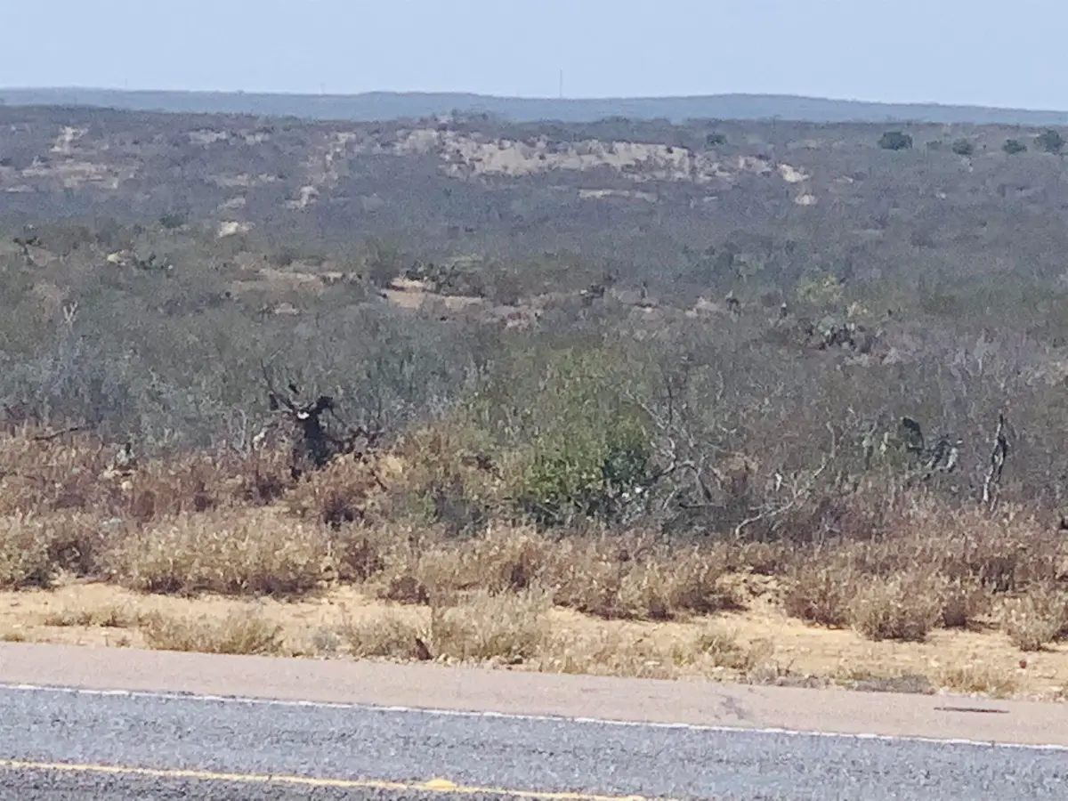 3459 N U.S. Hwy 83, Zapata, TX 78076 - Image #1