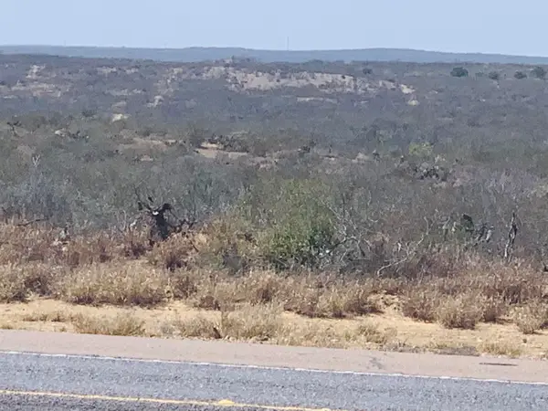 3459 N U.S. Hwy 83, Zapata, TX 78076