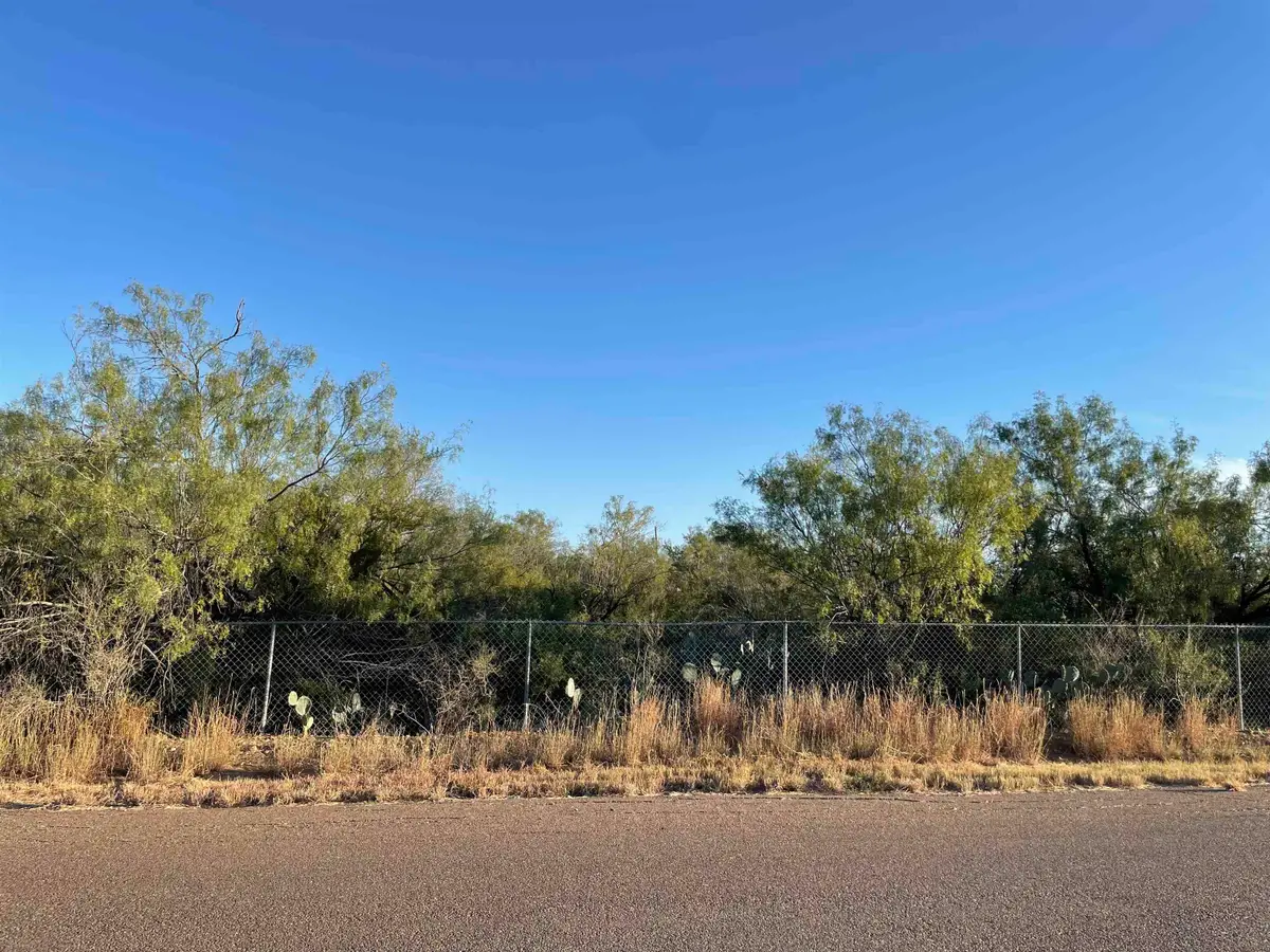 Lots 3 -5 Falcon Mesa, Zapata, TX 78076 - Image #1