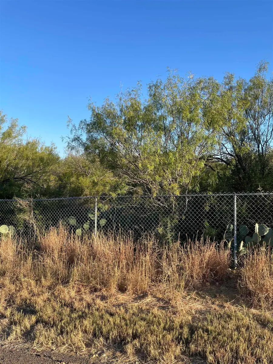 Lots 3 -5 Falcon Mesa, Zapata, TX 78076 - Image #2