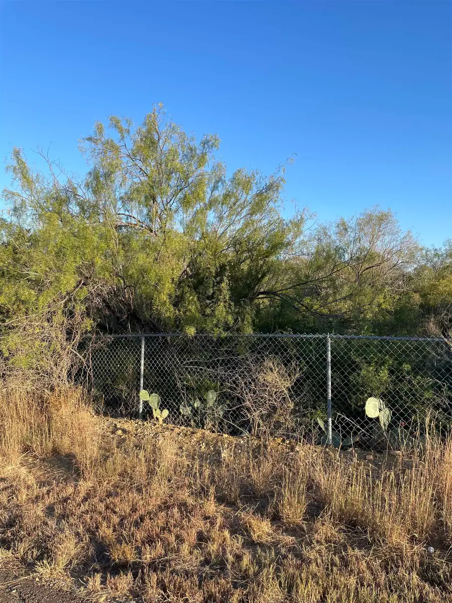 Lots 3 -5 Falcon Mesa, Zapata, TX 78076 - Image #3