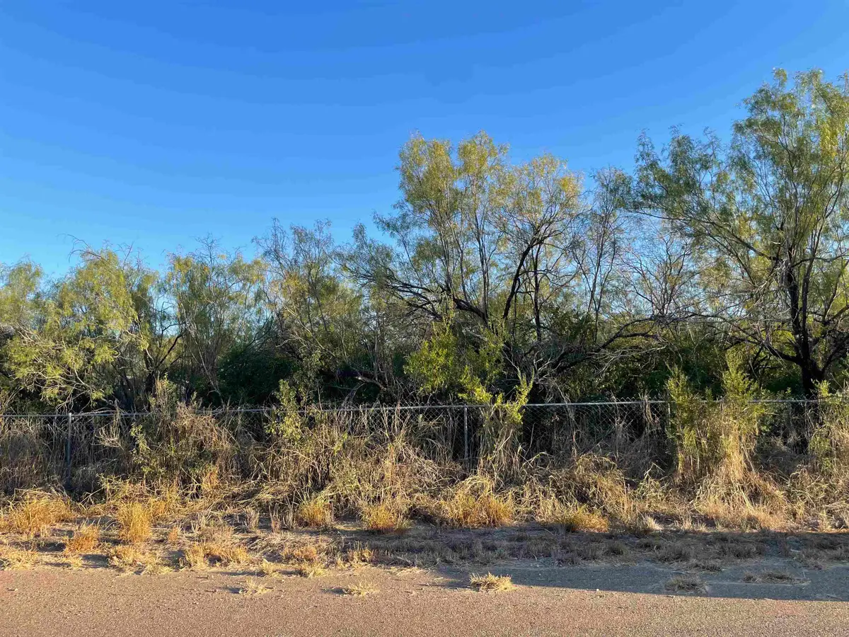 Lots 6 -8 Falcon Mesa, Zapata, TX 78076 - Image #1