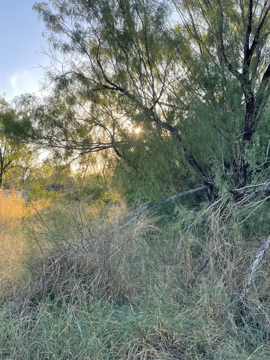 Lot 11 Falcon Mesa, Zapata, TX 78076 - Image #2