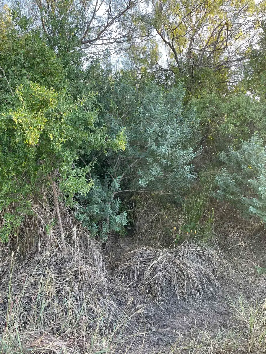 Lot 11 Falcon Mesa, Zapata, TX 78076 - Image #3