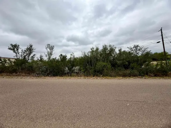2224 Siesta Ln, Zapata, TX 78076