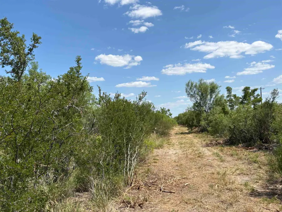 NW 1/2 OF TRS 33 THRU 40 SEC 40 AND 57 THRU 64, Fowlerton, TX 78021 - Image #2