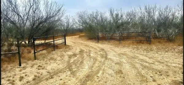 OUT OF AREA, CRYSTAL, TX 78839